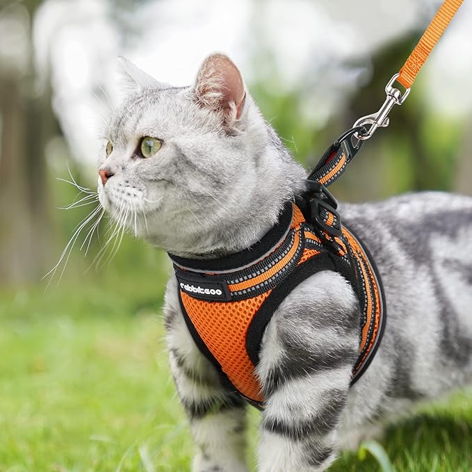 rabbitgoo Cat Harness and Leash Set for Walking Escape Proof, Adjustable Soft Kittens Vest with Reflective Strip for Cats, Comfortable Outdoor Vest,Light Orange,L