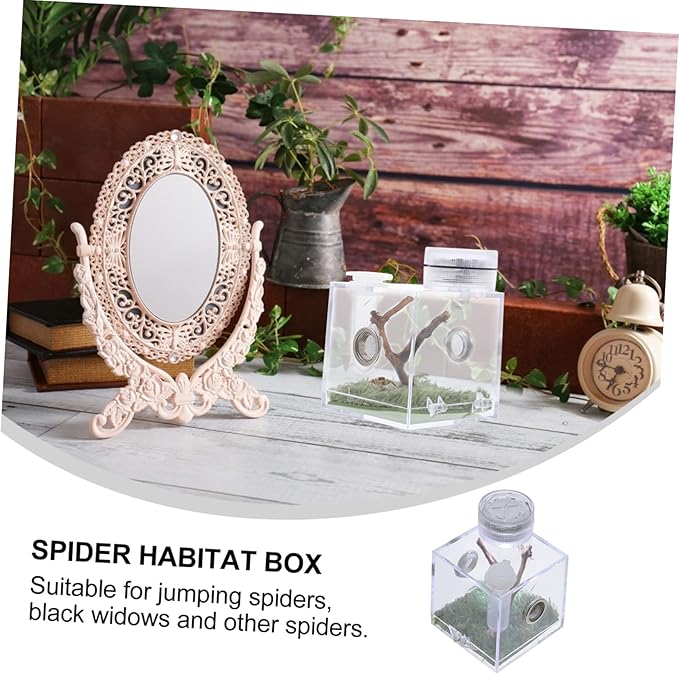 Mipcase 3pcs Box Jumping Spider Breeding Box Snail Spider Habitat Cage Jumping Spider Cage Jumping Spider Enclosure Small Humidifiers Spider Accessory Wood Little Spider Medium Acrylic