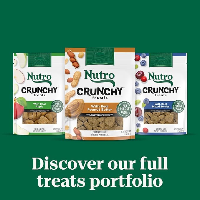 Nutro Crunchy Dog Treats With Real Peanut Butter, 16 oz. Bag