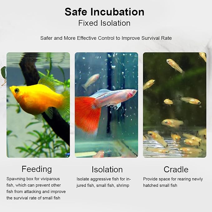 Fish Separation Breeder Box, Acrylic Fish Breeding Isolation Box Aquarium Hatchery Incubator Holder(C-30x10x10cm)