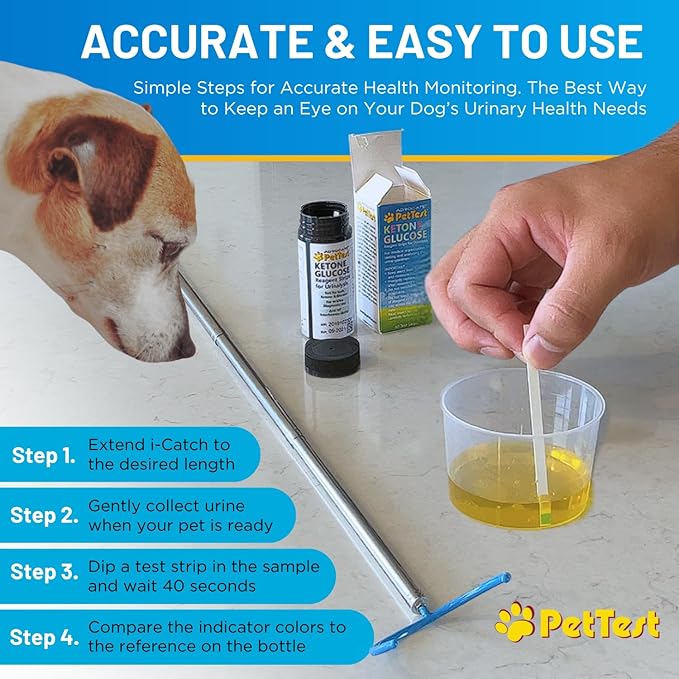 PetTest Pet Ketone and Glucose Test Strips with Urine Catcher Telescoping Pole - 50 Strips for Fast Urine Testing of Cats & Dogs with Extendable Urine Catcher up to 45" - Home kit for Pet Ketone Level