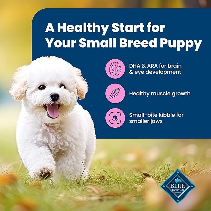 Blue Buffalo Life Protection Formula Small Breed Puppy Dry Dog Food with DHA, Vital Nutrients & Antioxidants, Made with Natural Ingredients, Chicken & Oatmeal Recipe, 5-lb. Bag