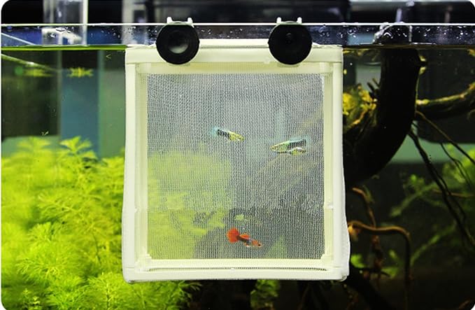 White Nylon Mesh Fish Fry Hatchery Breeder Box Separation Net by XMHF