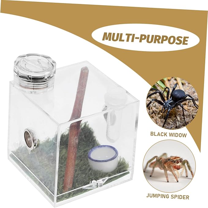 Mipcase 2pcs Box Jumping Spider Breeding Box Reptile Accessories Small Spider Enclosure Mini Critter Keeper Vivarium Tank Tarantula Cage Habitat Bracket Miniature Acrylic Little Spider
