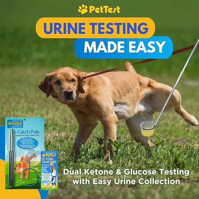PetTest Pet Ketone and Glucose Test Strips with Urine Catcher Telescoping Pole - 50 Strips for Fast Urine Testing of Cats & Dogs with Extendable Urine Catcher up to 45" - Home kit for Pet Ketone Level