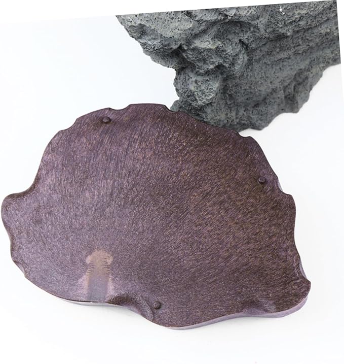 FOMIYES Reptile Bowl for Food and Water, Lizard Feeding Dish, Breeding Tray, Aquarium Crested Hermit Crab