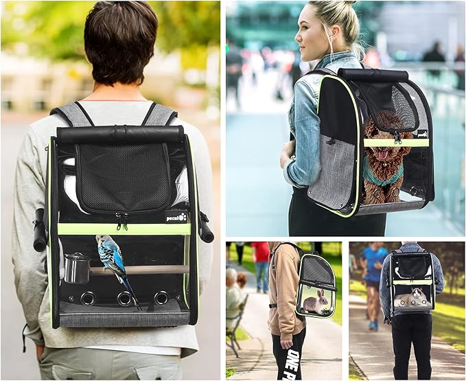 Pecute Bird Carrier Backpack, Parrots Bird Backpack with Visible Window, Adjustable Height Standing Perch, Feeding Cans, Waterproof Pads, Lightweight Foldable Birds Travel Cage for Hiking Camping