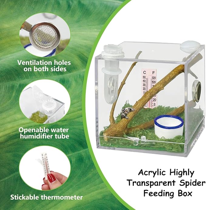 2 Pack Jumping Spider Enclosure,Tarantula Enclosure with Tongs and Droppers,Praying Mantis Eggs to Hatch Box for Small Animals Such As Tarantula,Spiders,Snails,Crickets,Praying Mantis and Ants