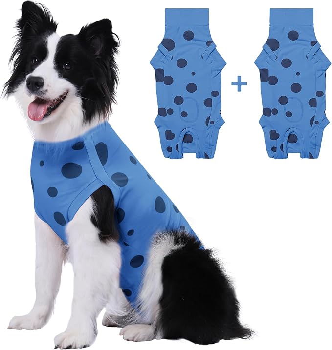 2 Packs Dog Recovery Suit Female Male, Blue+Blue, L