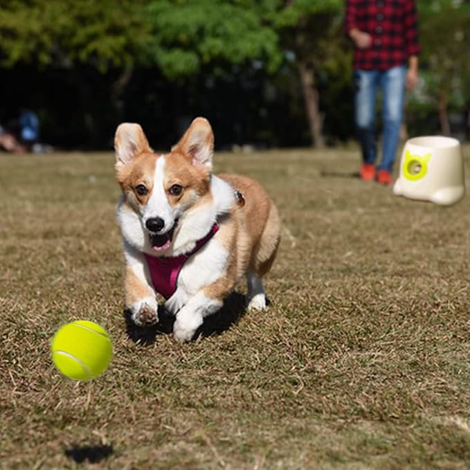 YEEGO DIRECT Small Tennis Balls for Dogs, Dogs Tennis Launcher Ball for small and medium dogs, Pet Safety Toy for Sports and Training,6 Pcs 1.97" Diameter Mini Balls,for Launching Machines Clearance