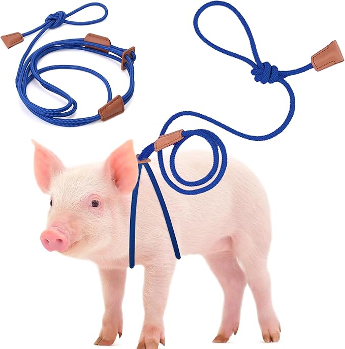 Mini Pig Harness & Leather, Pet Pig Supplies, Adjustable Rope (9 inches long -1/2 inches diameter), Suitable for Small and Medium-sized Pet Pigs(Blue)