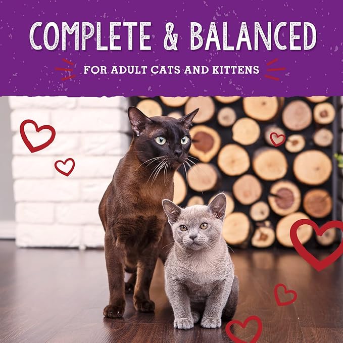 Stella & Chewy's Freeze-Dried Raw Cat Dinner Morsels – Grain Free, Protein Rich Cat & Kitten Food – Bountiful Beef Recipe – 18 oz Bag