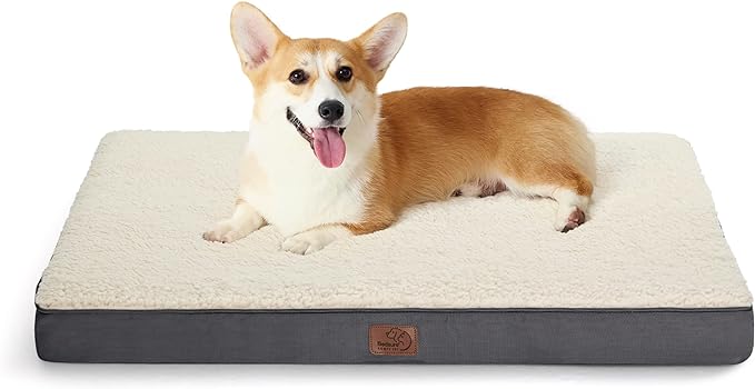 Bedsure Medium Dog Bed for Medium Dogs - Orthopedic Dog Beds with Removable Washable Cover, Egg Crate Foam Pet Bed Mat, Suitable for Dogs Up to 35lbs