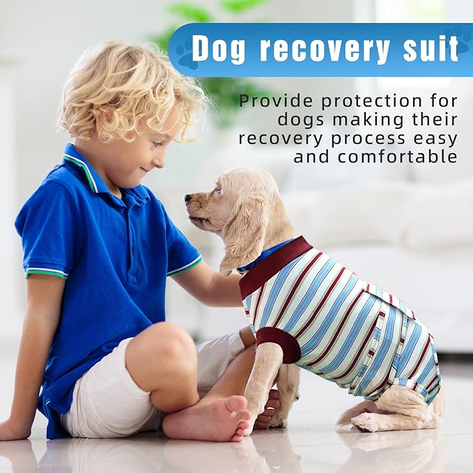 Dog Surgery Rrecovery Suit Dog Onesies for Surgery Recovery Dog Body Suits After Surgery Dog Recovery Suit Surgery Suit for Dogs Dog Surgery Suit Dog Neuter Recovery Suit,S