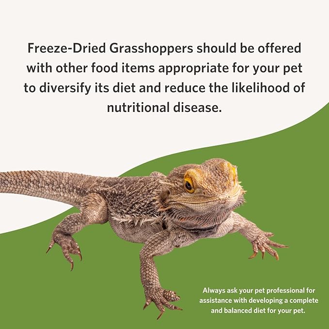 Fluker's Freeze Dried Grasshoppers, Nutrient-Packed, Ideal for Lizards, Reptiles, Birds, Fish, Hedgehogs, 1.7 oz