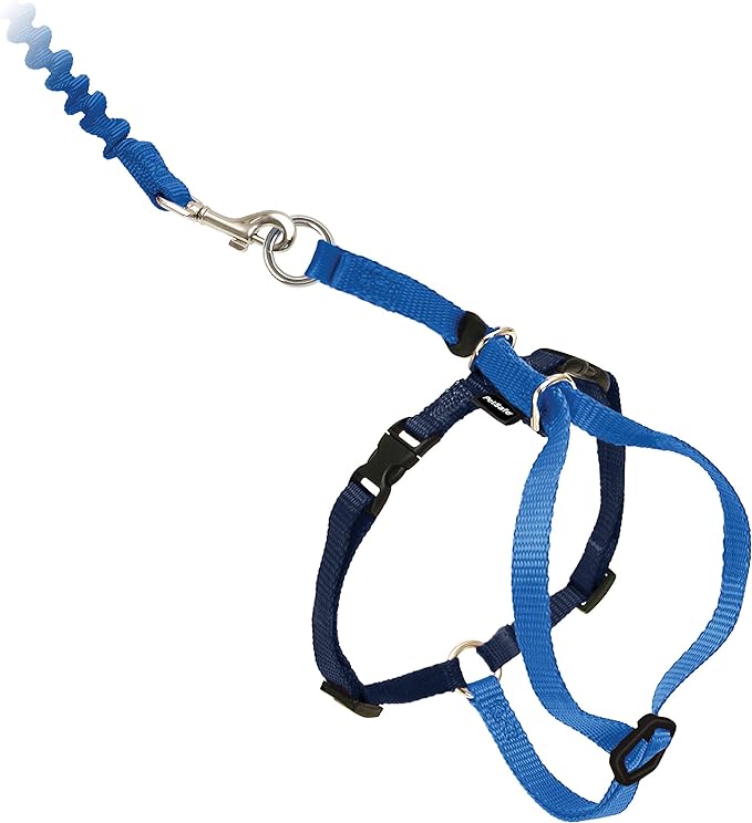 PetSafe Come with Me Kitty Harness and Bungee Leash, Harness for Cats, Small, Royal Blue/Navy