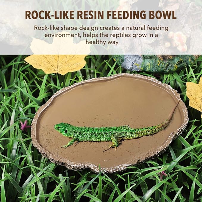 Reptile Bowl Resin Reptile Feeding Dish : Reptile Feeding Plate Reptile Food and Water Bowl - Reptile Food Bowl Terrarium Bowls for Lizard Gecko Bearded Dragon