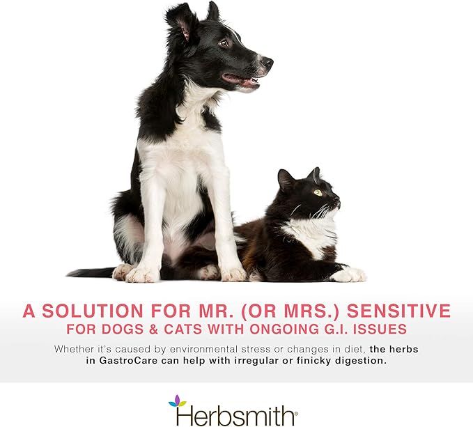 Herbsmith GastroCare - For Cats & Dogs with Sensitive Stomachs - Cat and Dog Digestive Support - Ease Canine and Feline Sensitive Stomach - 150g