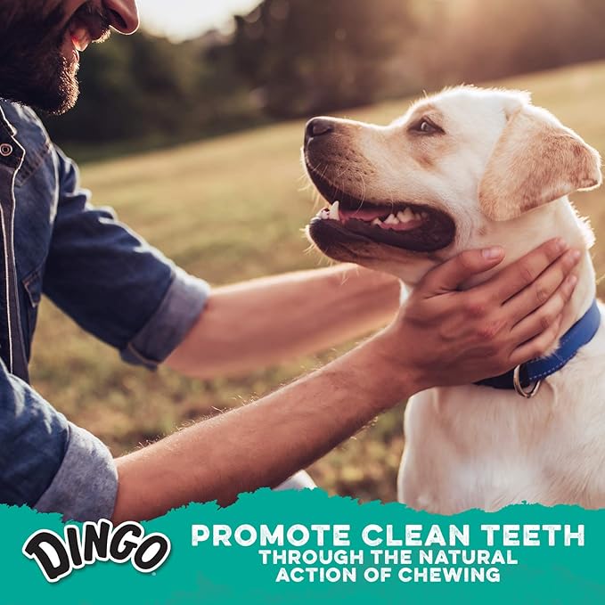 Dingo Dental Bones Dog Chews, 6-Count