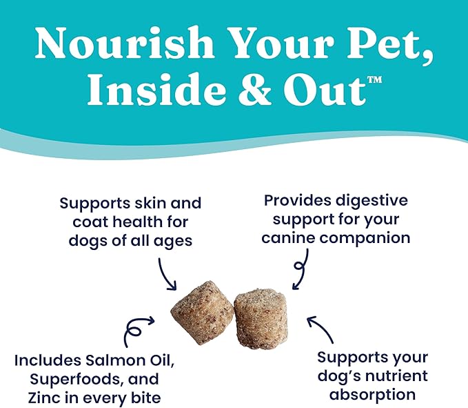 Solid Gold Healthy Dog Treats - Functional Dog Treats for Training + Skin & Coat Health - Peanut Butter Flavor with Salmon Oil Healthy Training Treats for Dogs - 5.2 oz