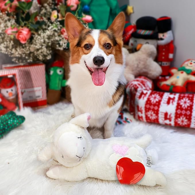 ALL FOR PAWS Heartbeat Dog Toy for Puppy,Dog Behavioral Sleep Aid Puppy Toys,Puppy Heartbeat Stuffed Animal,Dog Anxiety Relief