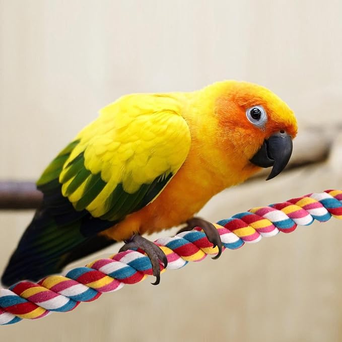 Bird Rope Perches,Parrot Toys 41 inches Rope Bungee Bird Toy (41 inches)[1 Pack]