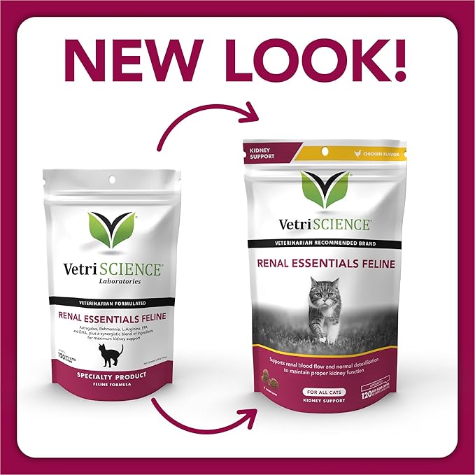 VetriScience Renal Essentials Feline Kidney Supplement for Cats – Kidney and Urinary Tract Support, Cat Kidney Supplement with Astragalus Root, Nettle, Herbs, and Folic Acid