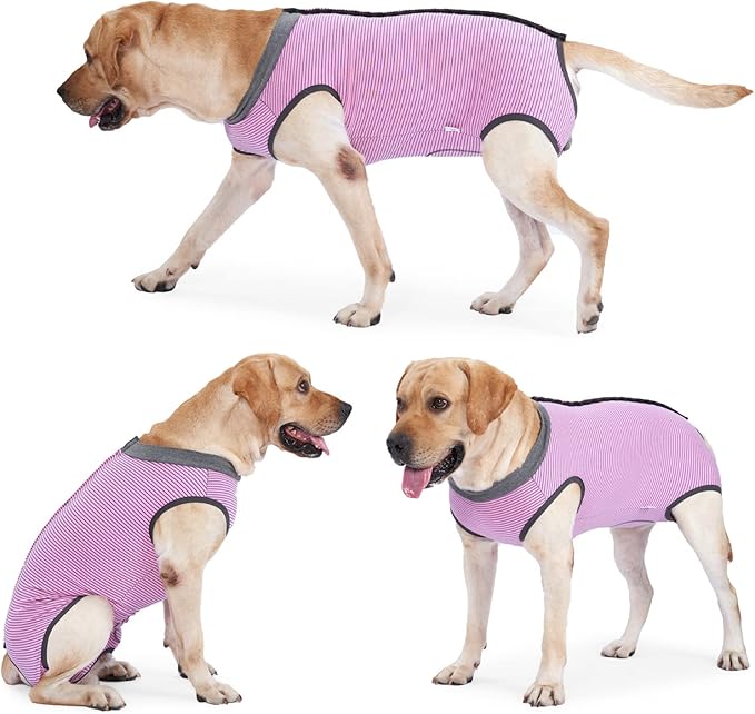 Dotoner Dog Recovery Suit Abdominal Wound Puppy Surgical Clothes Post-Operative Vest Pet After Surgery Wear Substitute E-Collar & Cone(S,Pink)