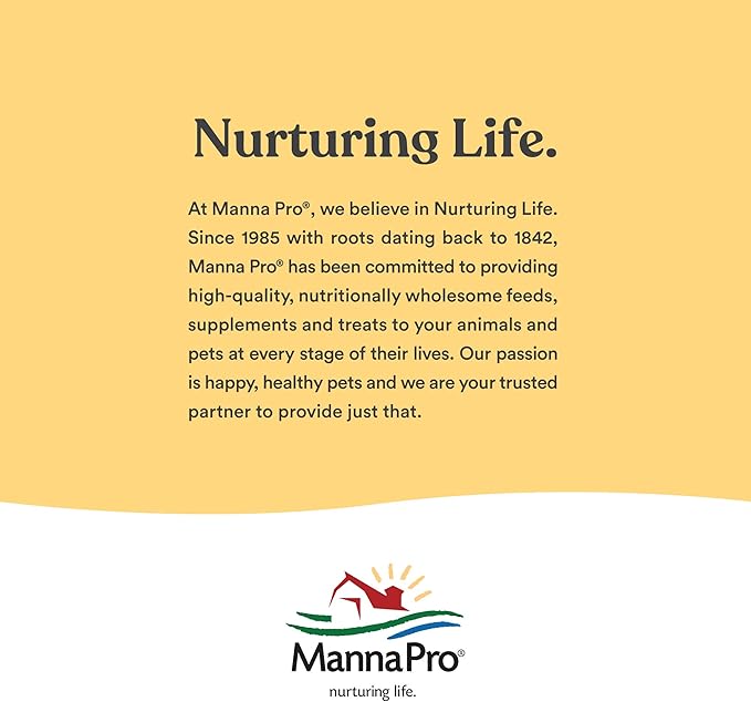 Manna Pro Crushed Oyster Shell for Laying Hens - Laying Chicken Oyster Shell - 6-Pack of 5lbs