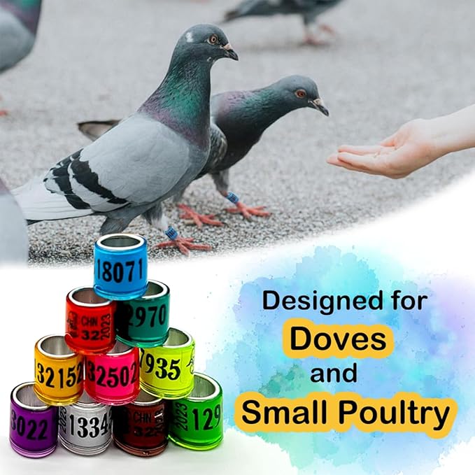 100Pcs Aluminium Pigeon Leg Rings | Dove Identify Band | 2024 Multicolor Training Birds Foot Ring