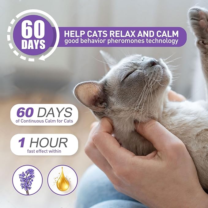 4 Pack Calming Collar for Cats, Cat Collars Efficient Relieve Reduce Anxiety Stress，Make Comfortable Relaxed，Pheromones Collar, Cat Calming Collar Kitten Supplies, Lasting 60 Days, Purple