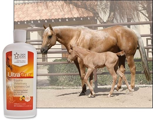 UltraCruz - sc-516110 Veterinary Liniment Gel for Horses, 12 oz