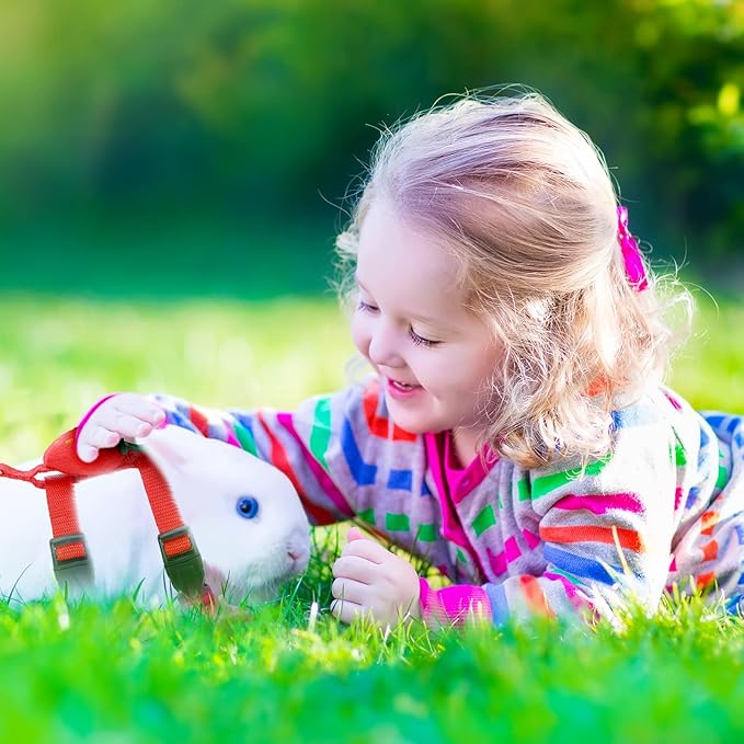 4 Sets Adjustable Bunny Rabbit Harness and Leash Set Small Pet Cute Vest Harness Leash with Decoration for Bunny Ferret Small Pets(Fruit)