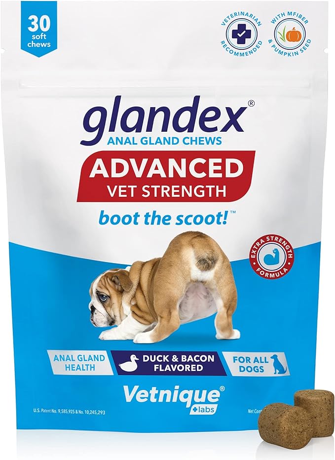 Glandex Anal Gland Soft Chew Treats with Pumpkin for Dogs Digestive Enzymes, Probiotics Fiber Supplement for Dogs Boot The Scoot (Advanced Strength Duck/Bacon Chews (Vegetarian), 30ct)