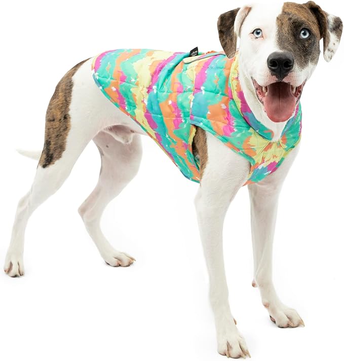 Kurgo Loft Dog Jacket, Reversible Winter Coat for Dogs, Wear with Harness or Sweater, Water Resistant, Reflective, for Small Medium Large Pets (Watercolor Stripe, M)