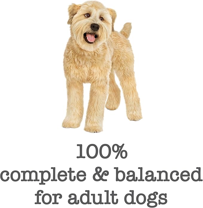 Purina Beneful Wet Dog Food, Medleys Mediterranean Style with Lamb - (Pack of 12) 3 oz. Cans