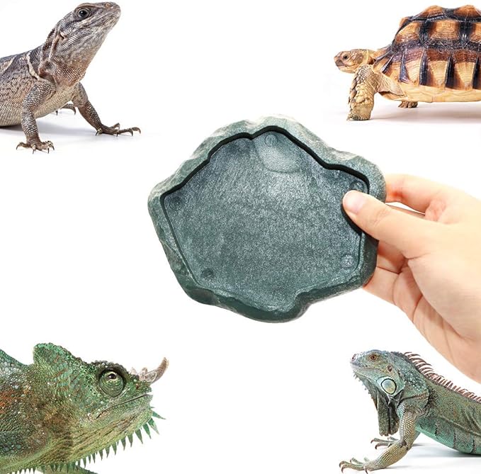 SLSON Reptile Feeder Terraium Bowl Plastic Shallow Reptile Feeder for Food and Water Feeding Dish for Lizard Gecko Bearded Dragon