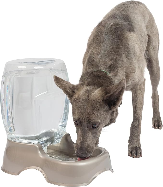 Petmate Pet Cafe Waterer Cat and Dog Water Dispenser 4 Sizes, 3 GAL, Pearl Tan, Made in USA