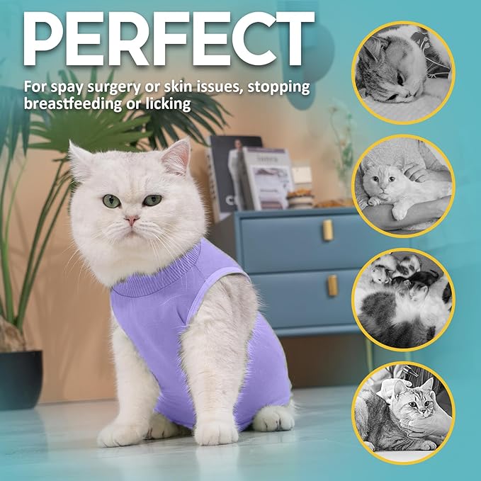 Avont Cat Recovery Suit - Kitten Onesie for Cats After Surgery, Cone of Shame Alternative Surgical Spay Suit for Female Cat, Post-Surgery or Skin Diseases Protection -Purple(L)