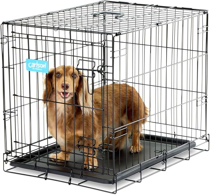 Carlson Pet Products SECURE AND FOLDABLE Single Door Metal Dog Crate, Small, 24.0"L x 18.0"W x 19.0"H