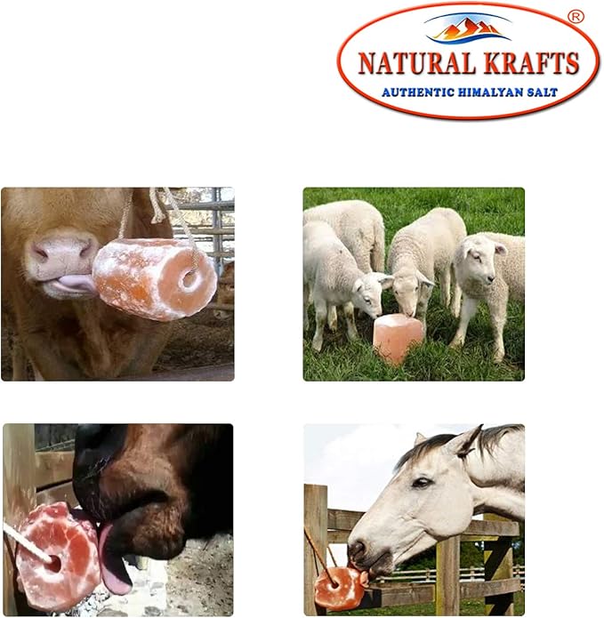 Himalayan Salt Lick on Ropes for Animals - All Natural Pure Mineral Block - Himalayan Salt Block for Deer, Salt Block for Horses, Cows, and Other Livestock - 2.5 lbs Each 6 Lick Pack