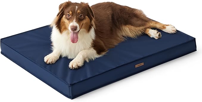 Lesure Waterproof Dog Bed for Medium Dogs - Outdoor Dog Bed with Oxford Fabric Surface, Medium Egg Orthopedic Foam Pet Bed with Removable and Durable Cover, Machine Washable, Navy