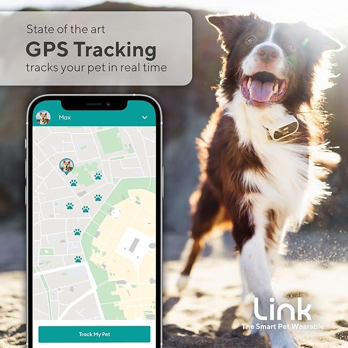 Link GPS Dog Tracker + Activity Monitor | Training Tools, Health Tracker, Waterproof, Flashlight, Lightweight, PetPass & Vet Record Storage, Fits On Most Collars | iPhone & Android Apps