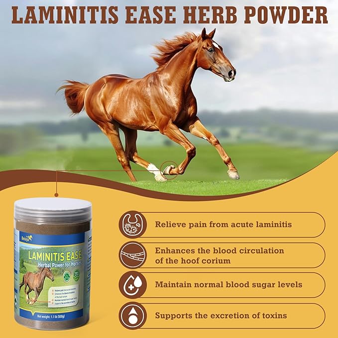 Horse Laminitis Treatment -Natural Herbal Powder Hoof Supplements for Horses with Laminitis, Ideal for Hoof Care & Sore Feet, Back to Pasture-1.1 lb