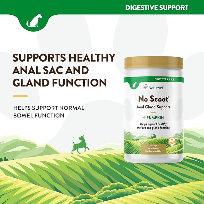 NaturVet - No Scoot for Dogs - Plus Pumpkin - Supports Healthy Anal Gland & Bowel Function - Enhanced with Beet Pulp & Psyllium Husk (5.4oz Powder)