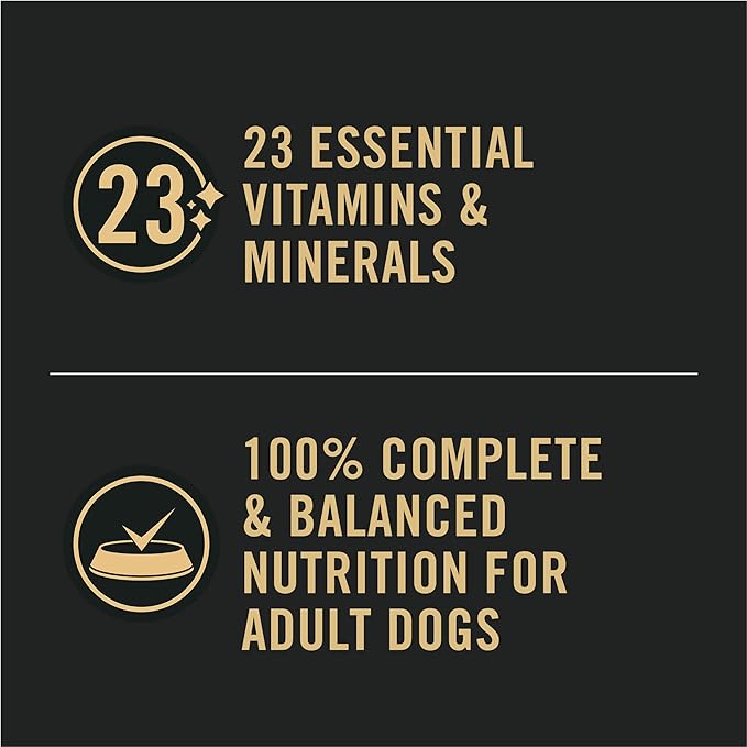 Purina Pro Plan Sensitive Skin and Stomach Wet Dog Food Pate Salmon and Rice Entree - (Pack of 12) 13 Oz. Cans