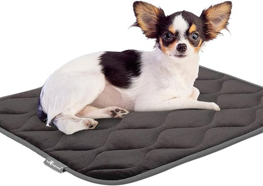 Paw Inspired Washable Padded Crate Mats for Dogs | 23” x 17” Pad, Fits 24-inch Kennels | Leakproof, Waterproof Bottom, Plush Pet Beds (Gray)