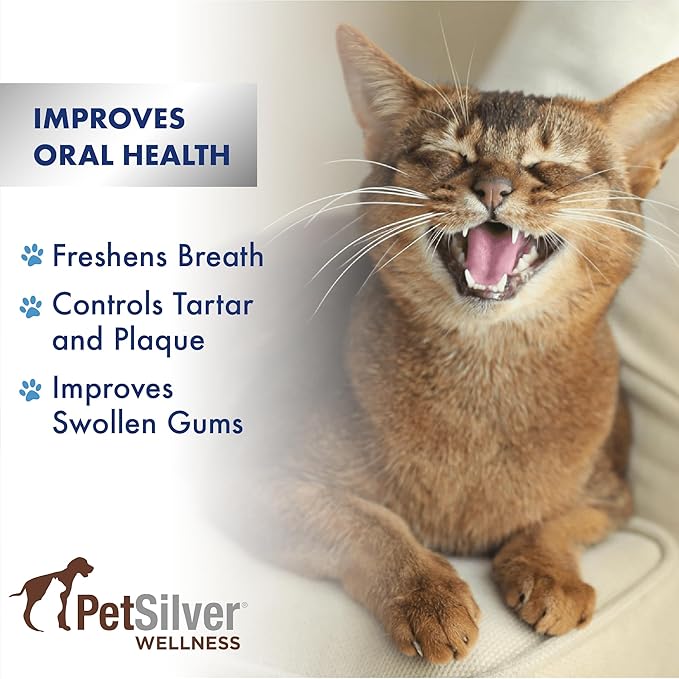 PetSilver Teeth & Gum Spray, Patented Chelated Silver, Dog Teeth Cleaning, Natural Dog Breath Freshener, Cat Teeth Cleaning Without Brushing, Dog Dental Spray, Made in The USA, 4 oz.