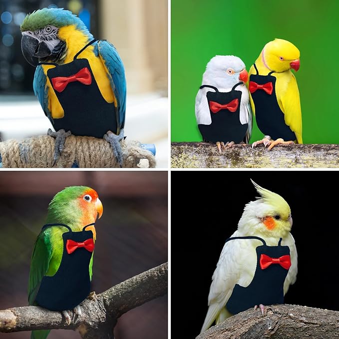 Bird Diaper Washable Parrot Diapers Reusable Bird Flight Suit Nappies Protective Breathable Parrot Nappy Clothes for Parakeet Parrot Macaw Budgie Canary Budgie Cockatiel(Black, Medium)