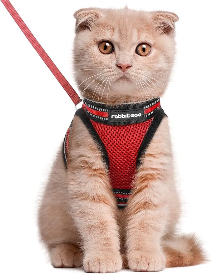 rabbitgoo Cat Harness and Leash Set for Walking Escape Proof, Adjustable Soft Kittens Vest with Reflective Strip for Cats, Comfortable Outdoor Vest, Red, L